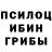 Псилоцибиновые грибы MAGIC MUSHROOMS Arbi Makuev