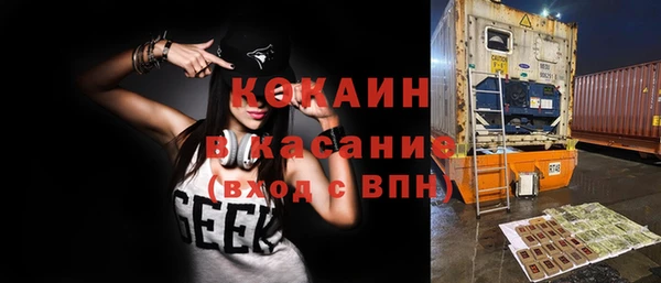 ECSTASY Горняк