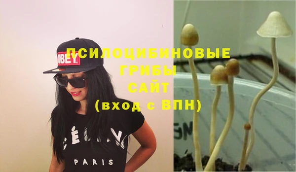 бошки Горно-Алтайск