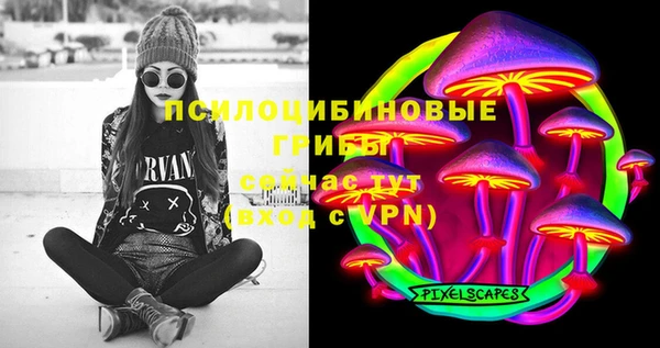 крисы Вязники