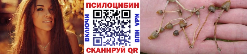 Псилоцибиновые грибы Magic Shrooms Макарьев